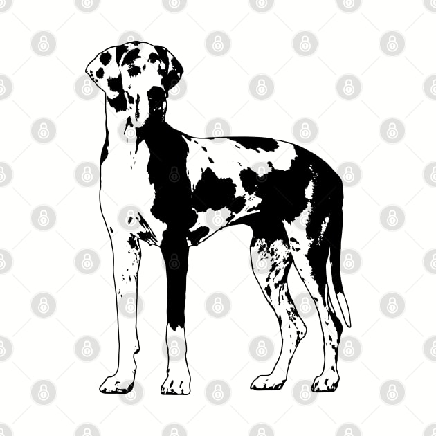 Great Dane  - Deutsche Dogge by Nartissima