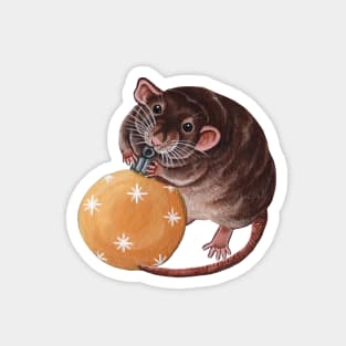 Agouti Rat with Bauble Magnet