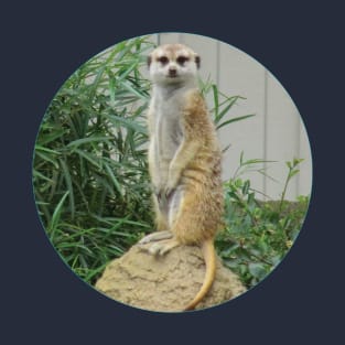 Meerkat Standing T-Shirt