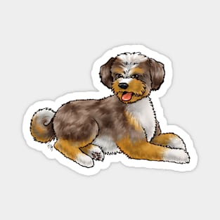 Dog - Aussiedoodle - Red Merle Magnet