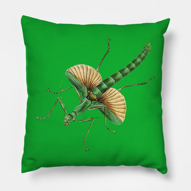 Platycrana viridana, a very green stick insect (green is "viridis" in Latin). Pillow by Luggnagg