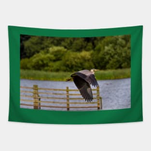 Grey Heron in flight Tapestry