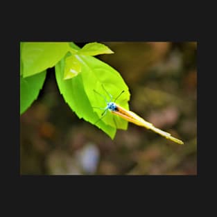 Dragonfly on leaf T-Shirt