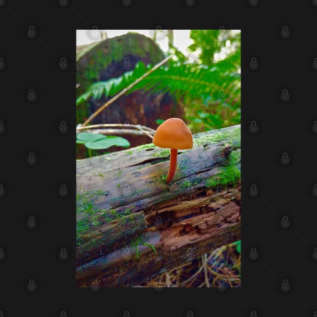 Tiny Orange Mushroom by Rebekah Slick