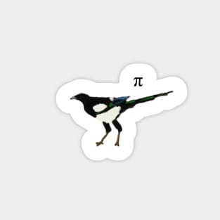 Mathematical Magpie with pi symbol Magnet