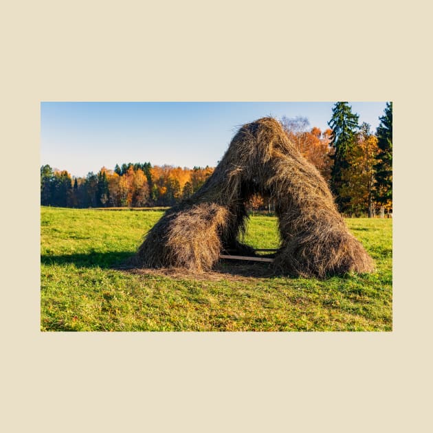 Haystack in the field in autumn day by lena-maximova