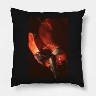 Poppy Pillow