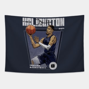 Tyrese Haliburton Indiana Premiere Tapestry