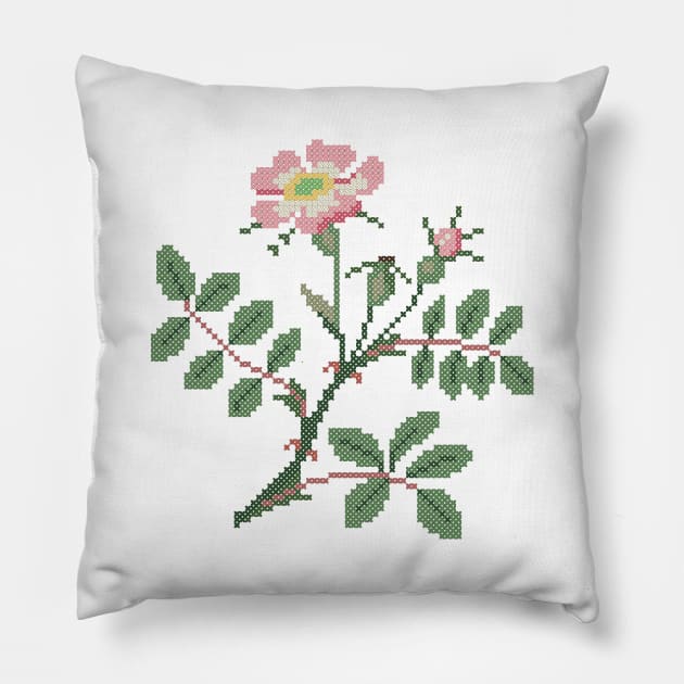 Iowa North Dakota State Flower Wild Prairie Rose Pillow by inotyler