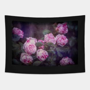 Rose 412 Tapestry