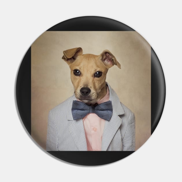 Shelter Pets Project - Butterscotch Pin by TammySwarek