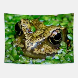 Frog hiding in the weeds Tapestry