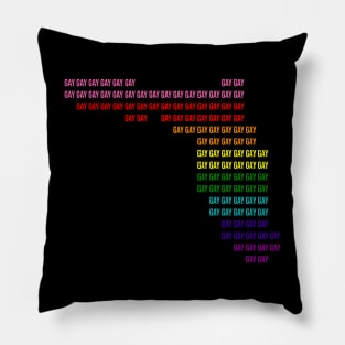 Florida Say Gay Pillow