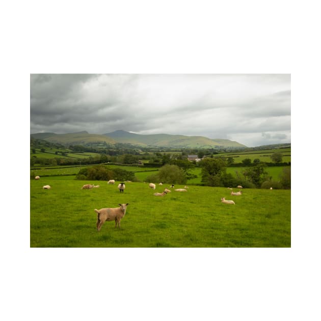 The Volatile Summer of Brecon Beacons - 2014 by SimplyMrHill