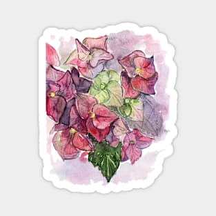 Hydrangea Magnet