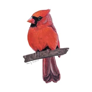 Fluffy Northern Cardinal on a branch painting T-Shirt