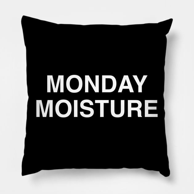 Monday Moisture Pillow by StickSicky