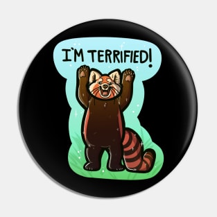 I'm terrified! Pin