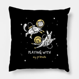 Dog and Cat in The Space - Playing With My Friend Pillow