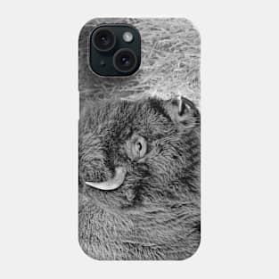 Black and White Photo of a Buffalo Phone Case