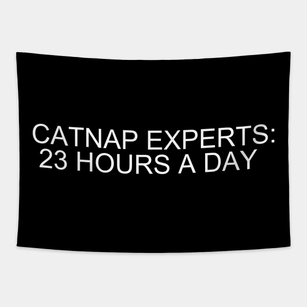 Catnap Masters: Embrace Zen-like Slumbers for 23 Blissful Hours! Tapestry by flooky