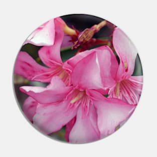 Pink flowers Pin