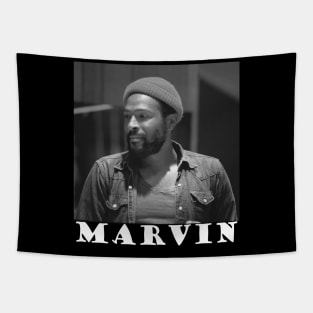 Marvin Gaye Tapestry