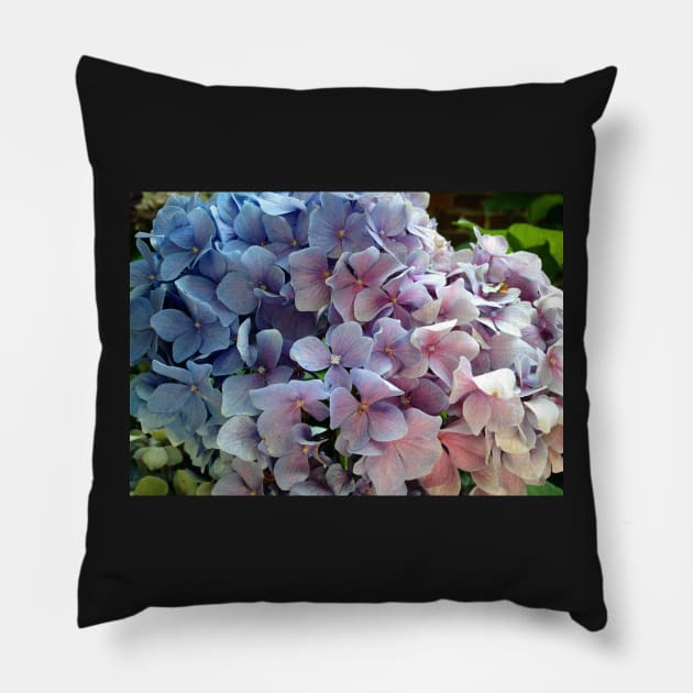 Hydrangea Pillow by KatieSchutteArt