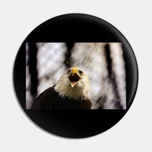 American Patriotic Eagle Pin