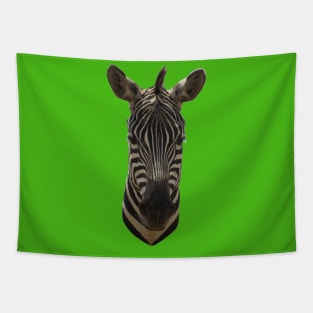 Zebra Portrait Tapestry