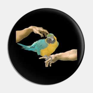 scritching a yellow macaw Pin