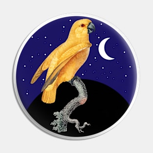 Cute Parrot Vintage Night Background Pin