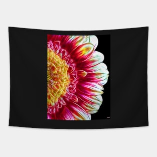 Gerbera Daisy Close Up Tapestry