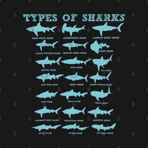 21 Types of Sharks Marine Biology by cedricchungerxc