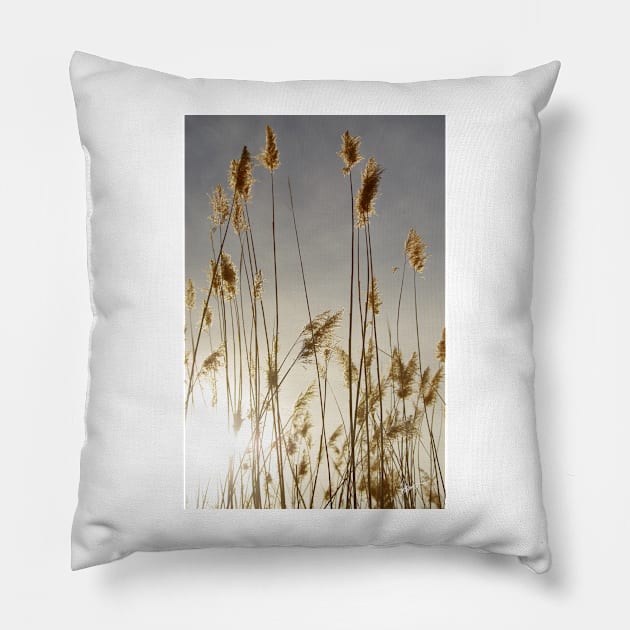 Closer to Home Pillow by VKPelham