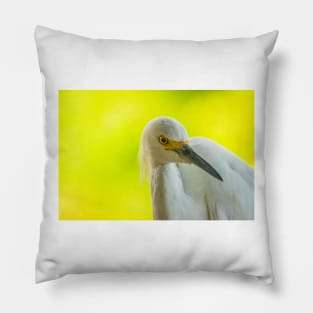 Handsome snowy egret Pillow