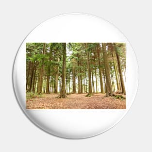 Pine Forest Pin