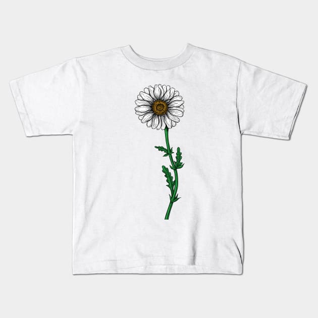 illustration of daisy flower t shirt design, vector graphic