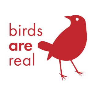 "Birds ARE Real" T-Shirt