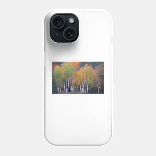 Birch Trees in Autumn Phone Case