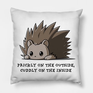 PRICKLY ON THE OUTSIDE CUDDLY ON THE INSIDE Pillow