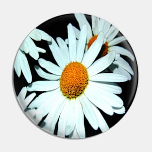 Daisy Blooms - White Floral Botanicals Pin