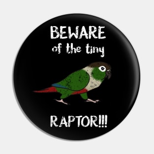 Beware of the tiny Raptor Green cheeked Conure Pin