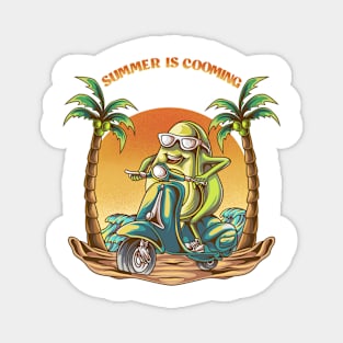 Summer Avocado Magnet