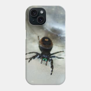 Cute Fuzzy Spider Phone Case