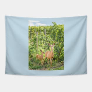 Doe and Fawn Standing in Summer Vineyard Tapestry