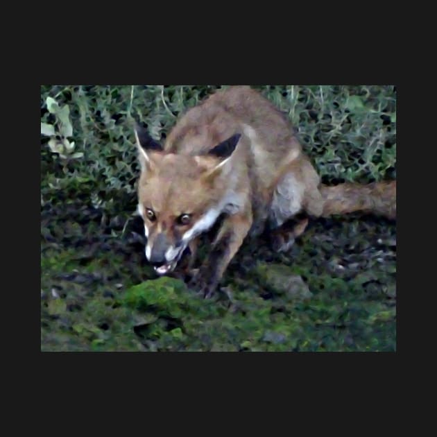 WILD JAZZY FOX! by dumbodancer