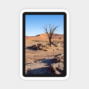 Tree in the sand. Magnet