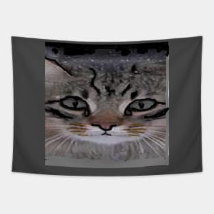 Peek Cat illustration Tapestry