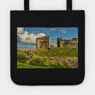 Western Gateway to Caerphilly Castle Tote